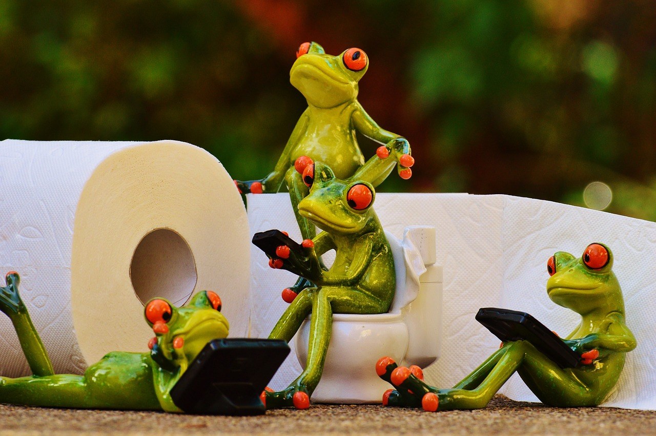 De belles créations avec du papier toilette
