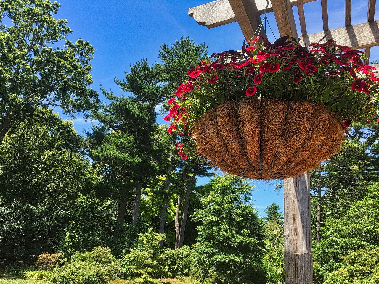 Créez votre jardin suspendu