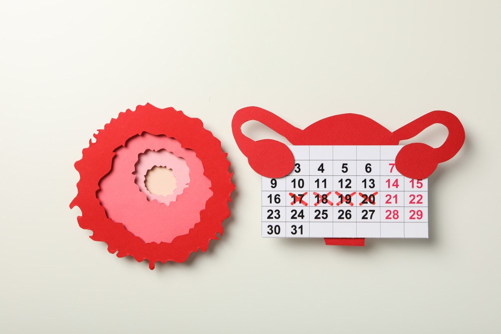Comprendre et anticiper l'ovulation en cas de cycle irrégulier : méthodes et astuces
